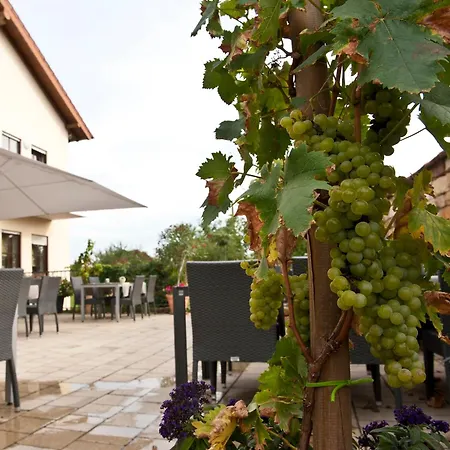 Otel Weingut Sandwiese Winzerhotel