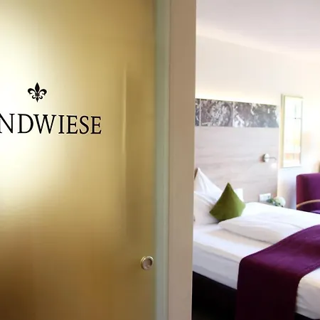 Weingut Sandwiese Winzerhotel 4* Вормс