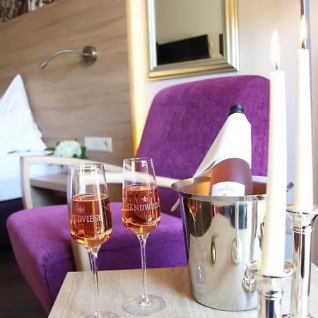 Weingut Sandwiese Winzerhotel 4* Worms