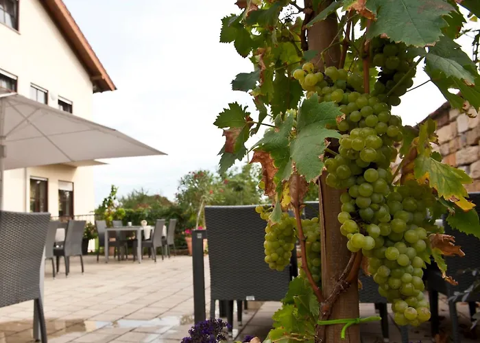 Hotel Weingut Sandwiese Winzerhotel