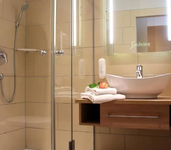 Weingut Sandwiese Winzerhotel Worms